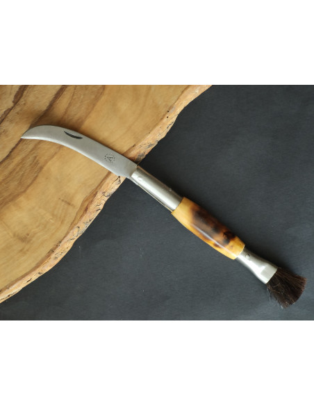 Navaja setas quemada - Antonio Díaz