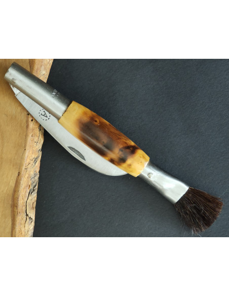 Navaja setas quemada - Antonio Díaz