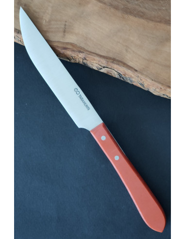 Cuchillo de mesa rojo CQ