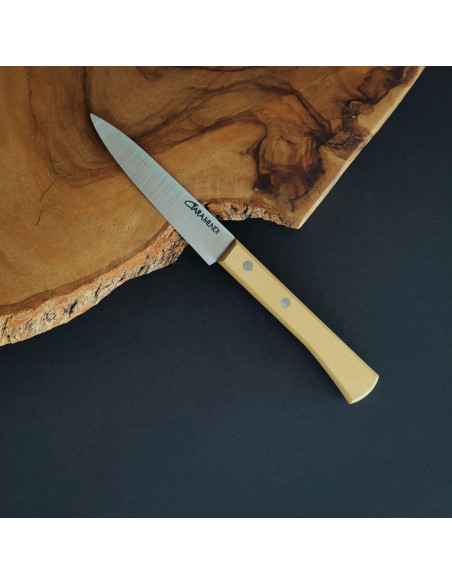 Cuchillo cocina puntilla / patatero - Cuchillería de Taramundi