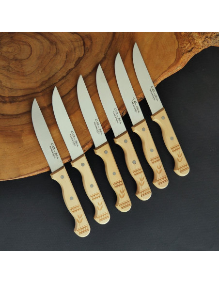 Pack 6 cuchillos decorados  - Carlos Quintana