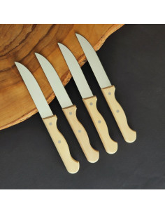 Pack  4 cuchillos mesa - Carlos Quintana 2
