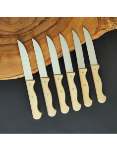 Pack 6 cuchillos mesa  - Carlos Quintana 2