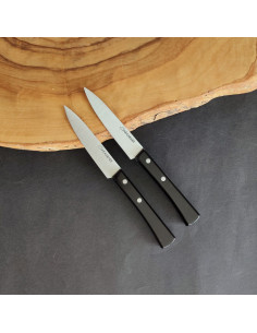 Dúo de dos cuchillos pequeños de cocina con empuñadura en metacrilato negro de la Cuchillería de Taramundi 2