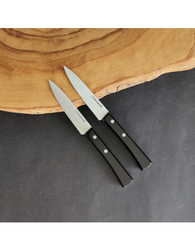 Dúo de dos cuchillos pequeños con empuñadura en metacrilato de la Cuchillería de Taramundi.