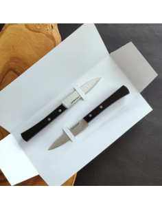Dúo de dos cuchillos pequeños de cocina con empuñadura en metacrilato negro de la Cuchillería de Taramundi