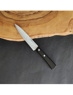 cuchillo cocina punta 12 metacrilato - Cuchillería de...