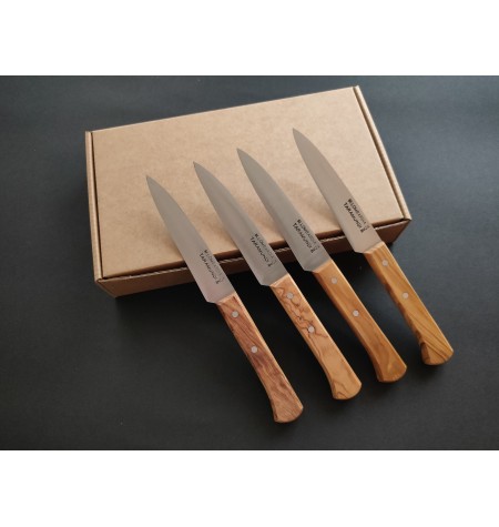 Pack cuchillos mesa punta 4